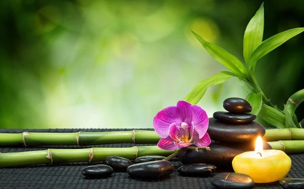 Massage Web Design